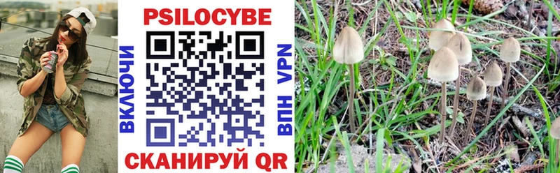 Псилоцибиновые грибы мухоморы  Купить  Белоусово 